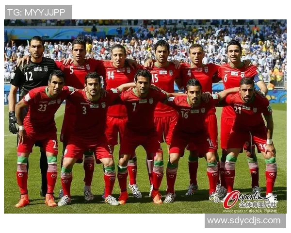 阿根廷与伊朗比赛数据分析及战术对比详解